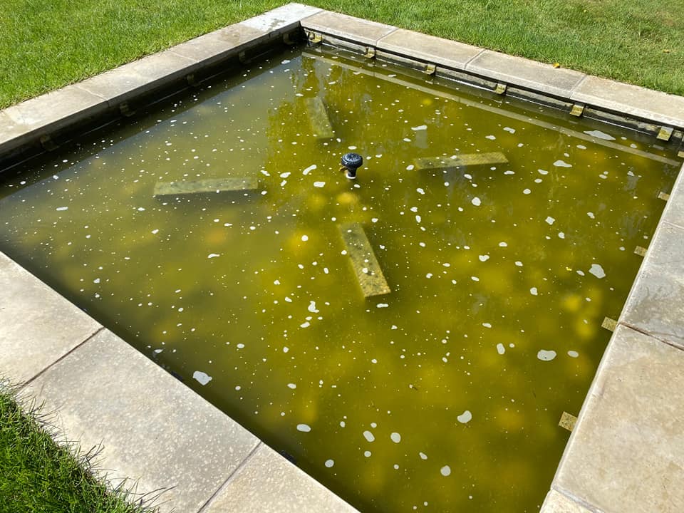 A square pond with a lot of algae build up and a non functioning fountain