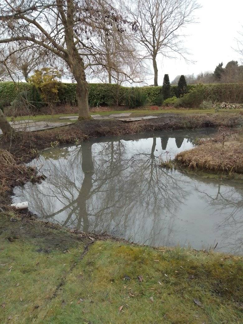 After photo of freshly restored natural pond with plants cut back and shoreline restored