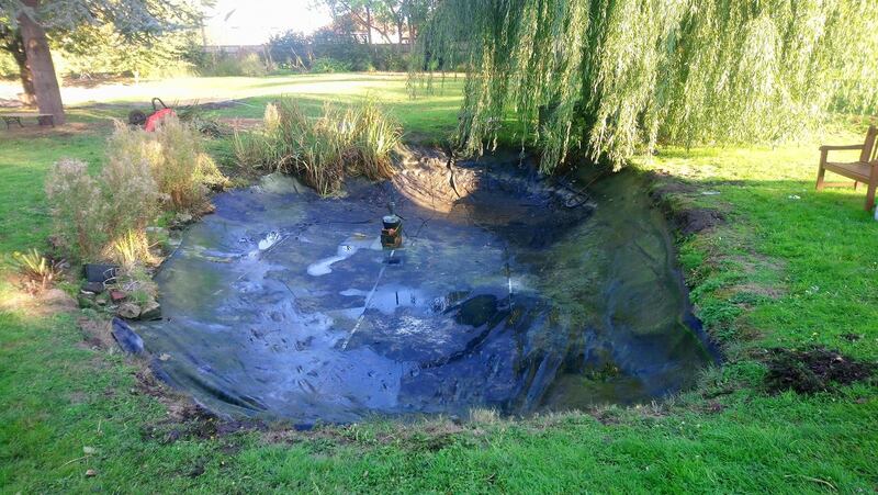 Tidied drained clean pond which has been dredged under weeping willow tree