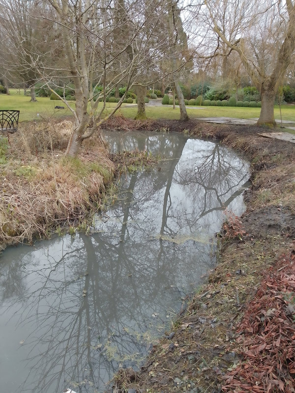 Natural pond sweeping around bend in need of restoration