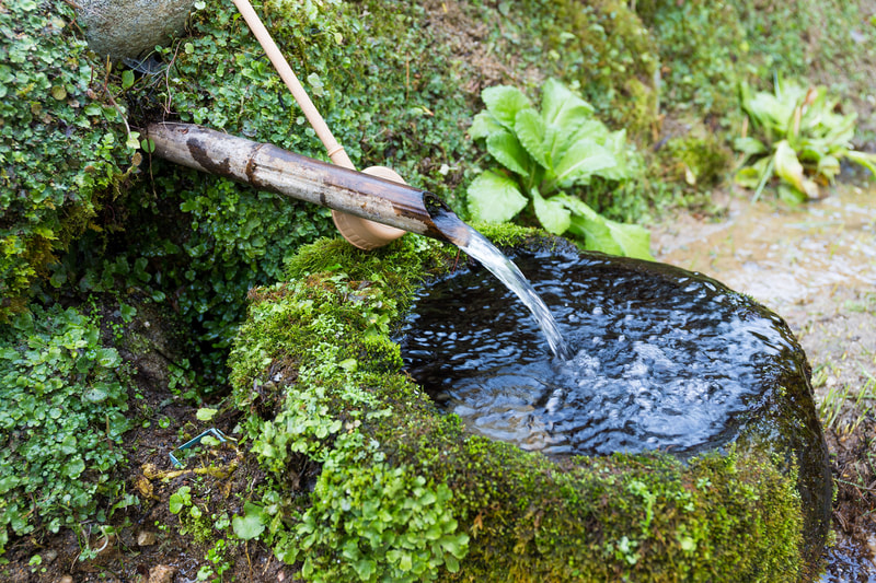 Japanese style water spout into a small pond surrounded by moss